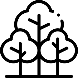 trees